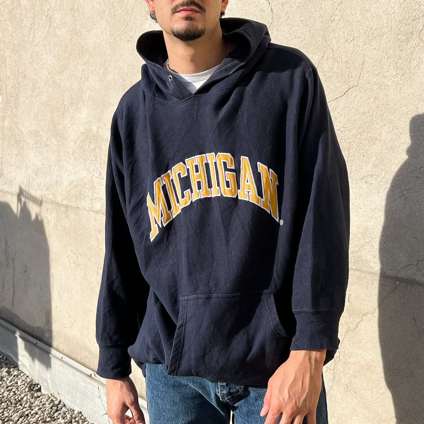 Hoodie Michigan