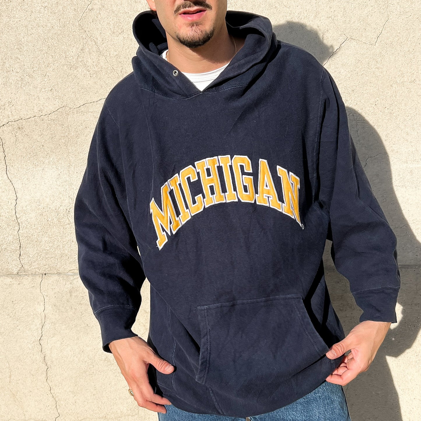 Hoodie Michigan