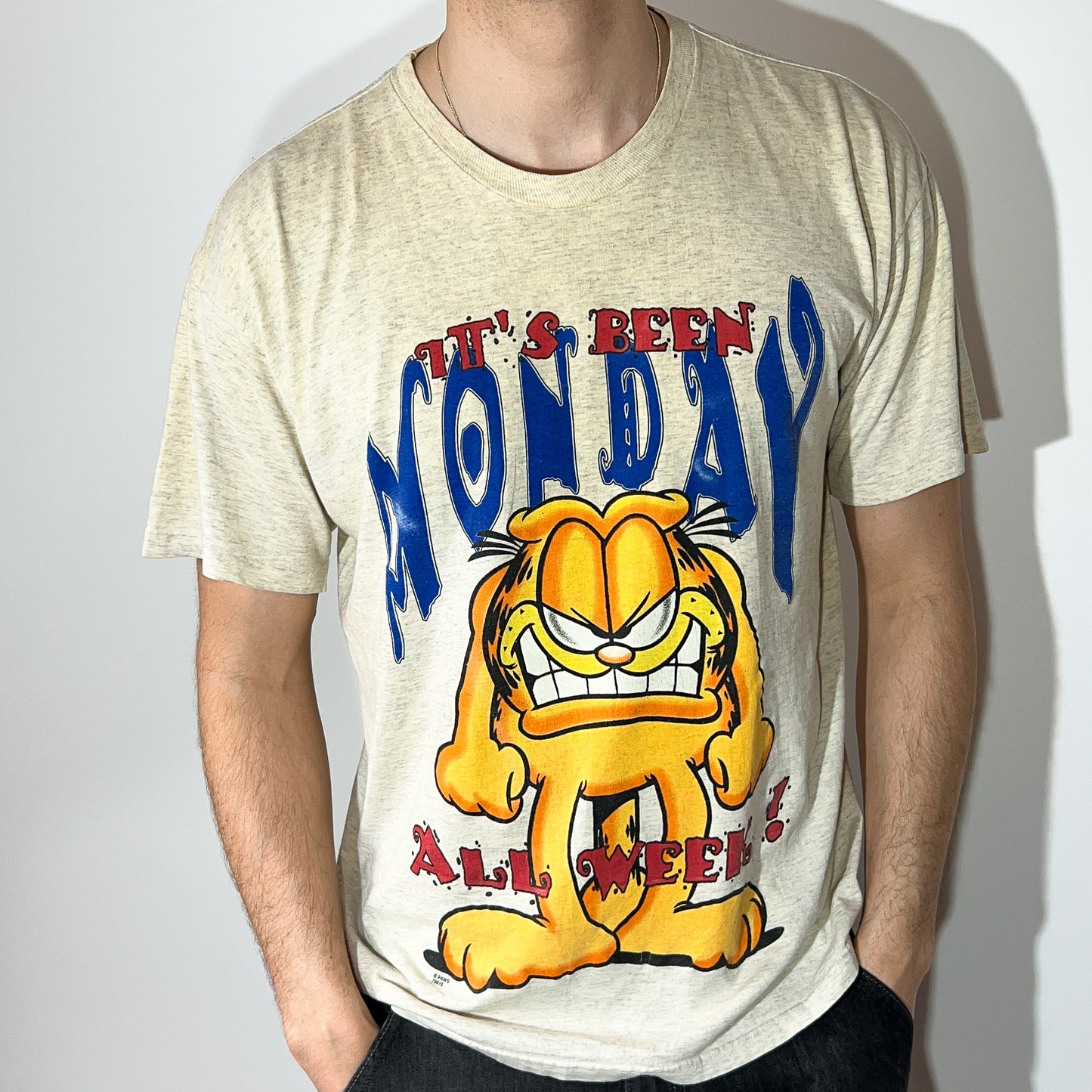 T-shirt Garfield